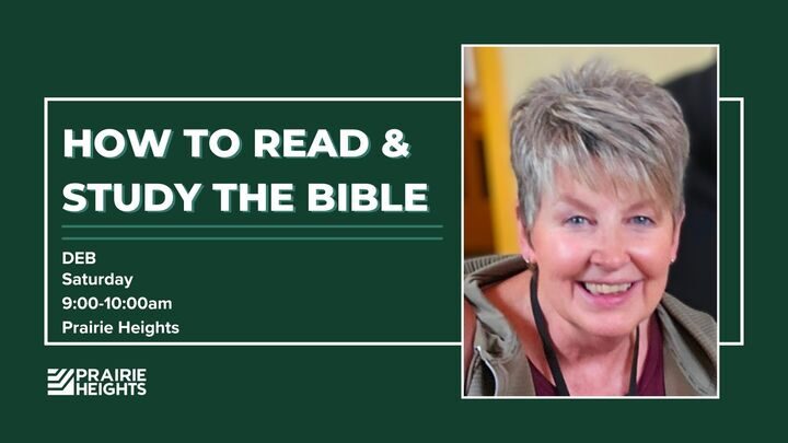 Curious About the Bible: How to Read and Study the Bible - Deb